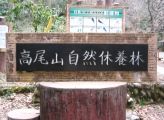 本格的な山登りの始発点です。08.03.19.