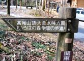 此処まではなだらかなコース。08.03.11.