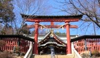 おにぎり頬張り休息後高尾山薬王院へ。08.03.11.