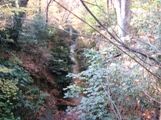 清流の上水底はヤツデが生い茂り深く手掘り跡も残る。07.12.12.