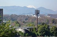 芝生の丘展望台からの富士山。'10.03.05.