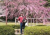 ベルコリーヌ緑山公園の枝垂れ。09.04.07.