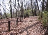 かたらいの路、古峰の道は武蔵野の雑木林。08.03.29.