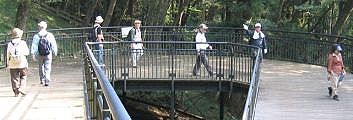爽快なウッドデッキの園路。08.10.27.