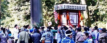 大鳥居を潜る万灯神輿。'15.02.11.