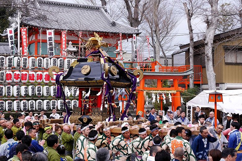 境内での神輿揉み。'15.03.15.
