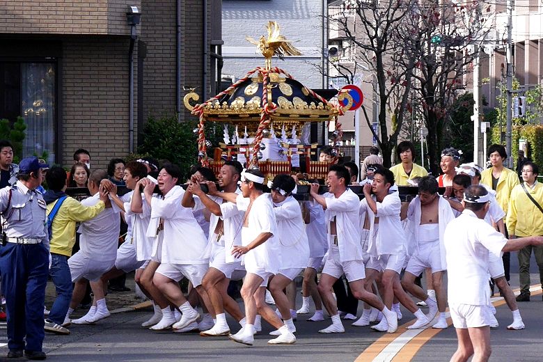暴れ神輿は赤塚大門須賀神社。'15.11.15.