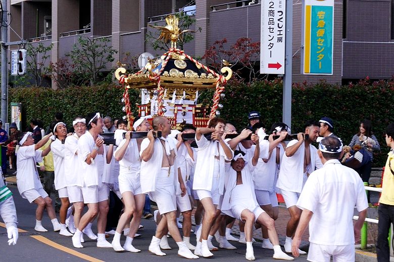 暴れ神輿の往ったり来たり。'15.11.15.