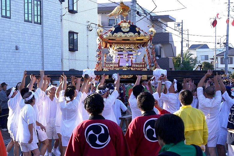 暴れ神輿の差し上げ。'15.11.15.