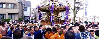 赤塚新町親成会。'15.11.15.