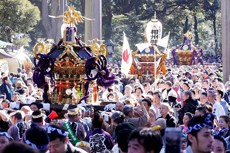 鳥居下の八棟屋根の鯱睦が相州睦.'16.02.11.