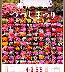 つつじ祭り '16.04.10.