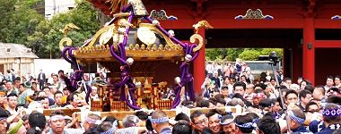 楼門(隋神門)脇 '16.04.10.