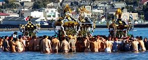 海中のほうが温かいぞと神輿揉み。10.01.17.