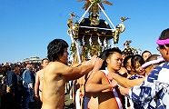 新成人恒例の神輿乗りは禁止で綱取りです。10.01.17.