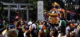 鳥居脇から境内に入り込む。10.01.01.