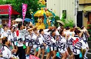 担ぎ慣れの熟女たち。'10.07.11.