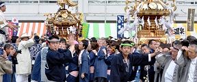 小足立八幡と和泉の神輿揉み。'10.11.14.