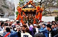 参道でのドッコイ担ぎ。'11.01.03.