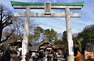 出雲大社相模分祠の鳥居。'11.01.03.