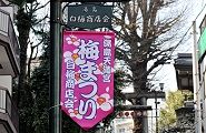 ピンクの梅まつり幟。'11.02.27.