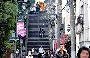 湯島天神の男坂。'11.02.27.