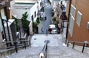 坂上から望む実盛坂。'11.02.27.