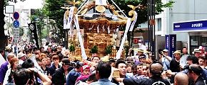 平塚龍連合。'13.06.23.