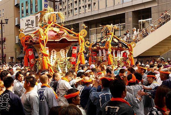 湘南神輿では珍しい梨色屋根。'13.09.29.