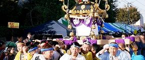 大鳥と胴に晒の川越。'13.10.27.
