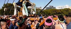 葱花の板橋グループ。'13.10.13.
