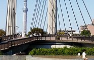 木場公園大橋。'13.10.13.
