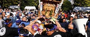 湘南ドッコイ担ぎ。'13.10.13.