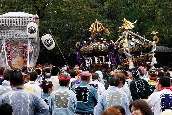 戸部公園での神輿揉み。'13.11.04.