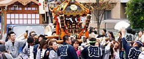 子ノ権現覚東。'13.11.10.