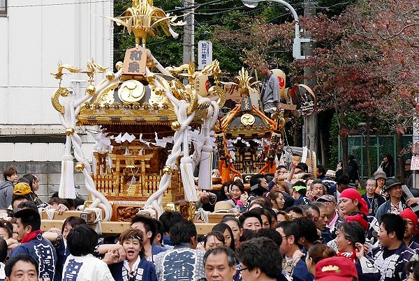 和泉神輿と覚東が連なって巡行。'13.11.10.