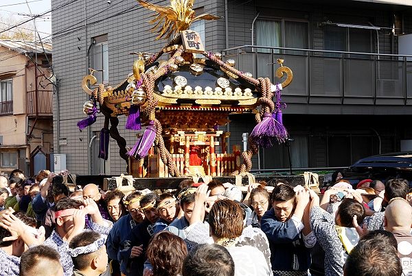 真剣で気合入れた担ぎ手達。'14.01.01.