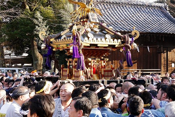 千住神社の境内での神輿揉み。'14.01.01.
