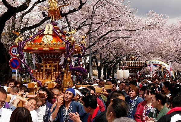 麻溝台睦会神輿。'14.04.06.