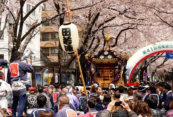 田名若者神輿連合会の神輿。'14.04.06.