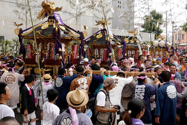 四基が寒川神社御旅所に。'14.07.21.