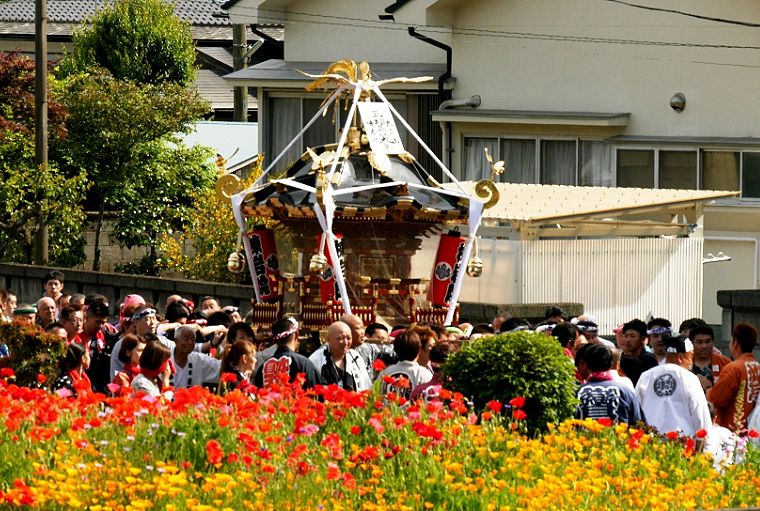 芥子の花が咲く旧道。'14.05.18.
