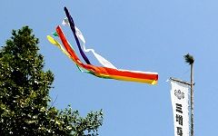 身代わり薬師の幟と吹き流し。'14.05.18.