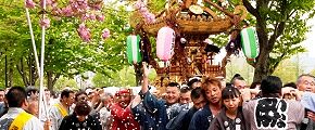 花びらがはらはらと舞い散る。'14.04.20.