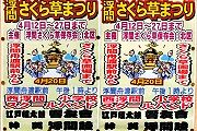 浮間さくら草祭り。'14.04.20.