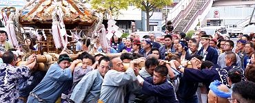 台町青年会のセリ担ぎ。'14.11.02.