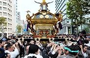 新大橋通りを渡御。'11.10.30.