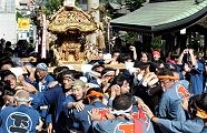 神輿揉みで拝殿前へ。'11.09.11.