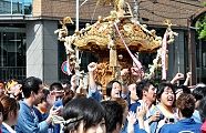 いざ宮入だと雄叫び。'11.09.11.