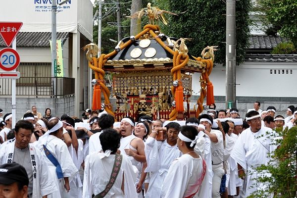 木曽東の路地中へ入り込んでいく大神輿。'11.10.02.